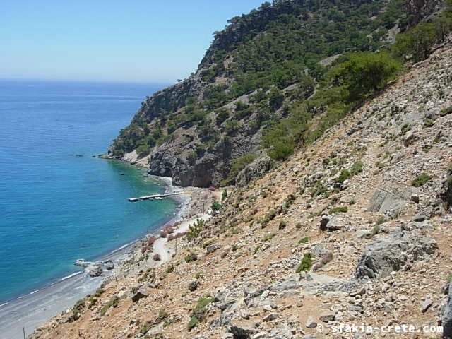 Photo report of two mountain walks in Sfakia, Crete, June 2008